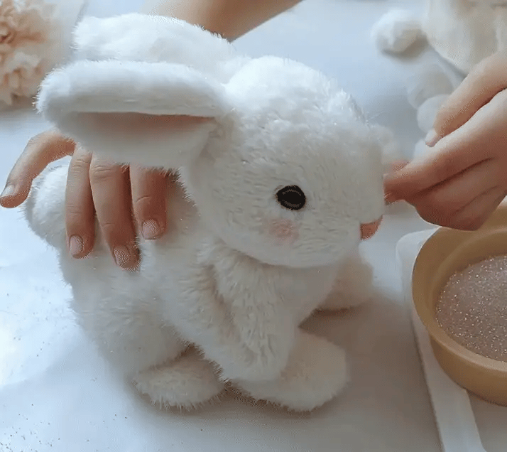 Walking Rabbit Toy