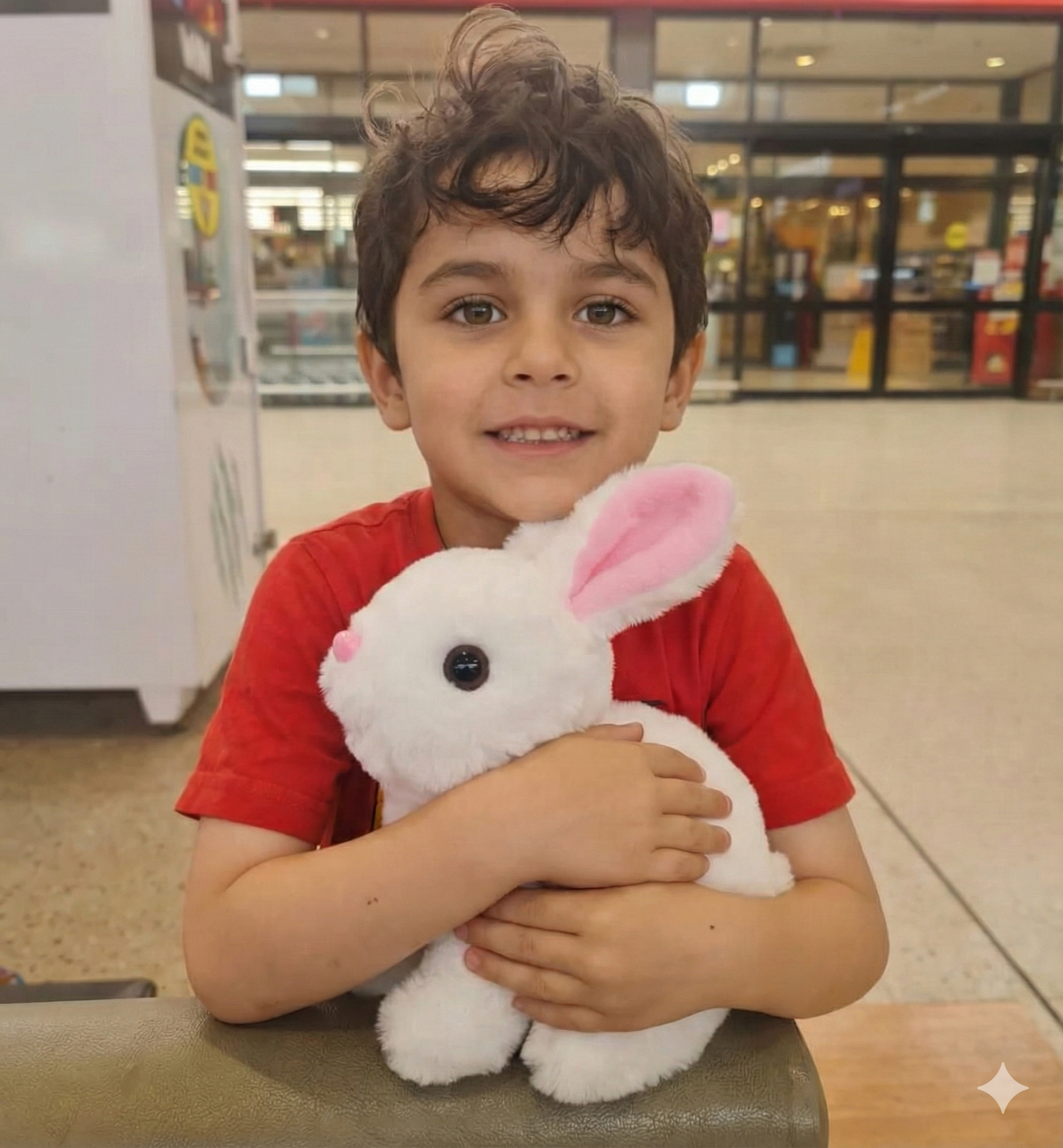 Walking Rabbit Toy Listicle 4 – Desi Store