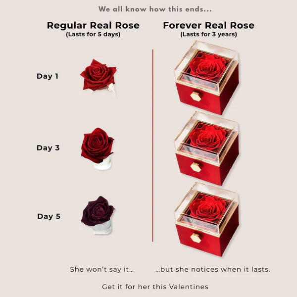 Eternal Rose Necklace Box
