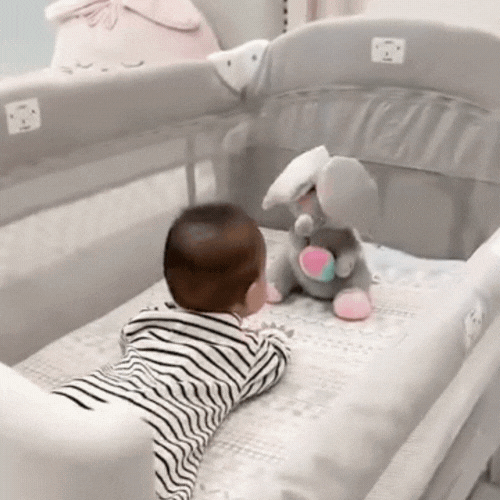 Peek A Boo Elephant