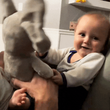 Peek A Boo Elephant