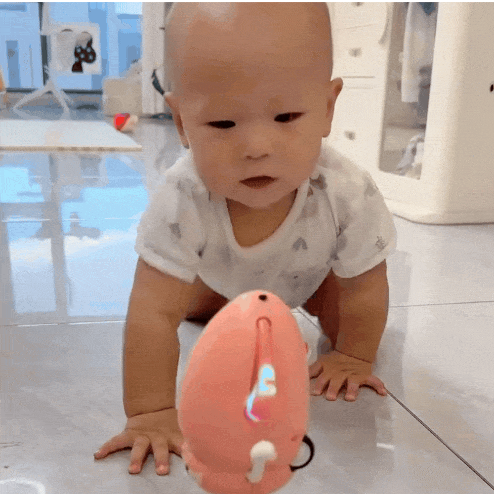 Dancing Octopus