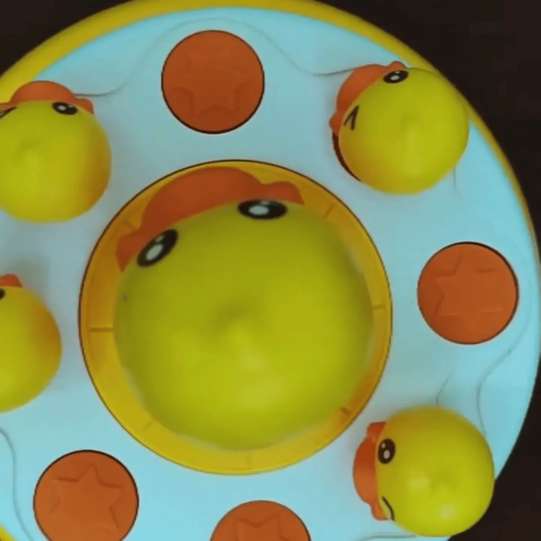 Duck Catching Game